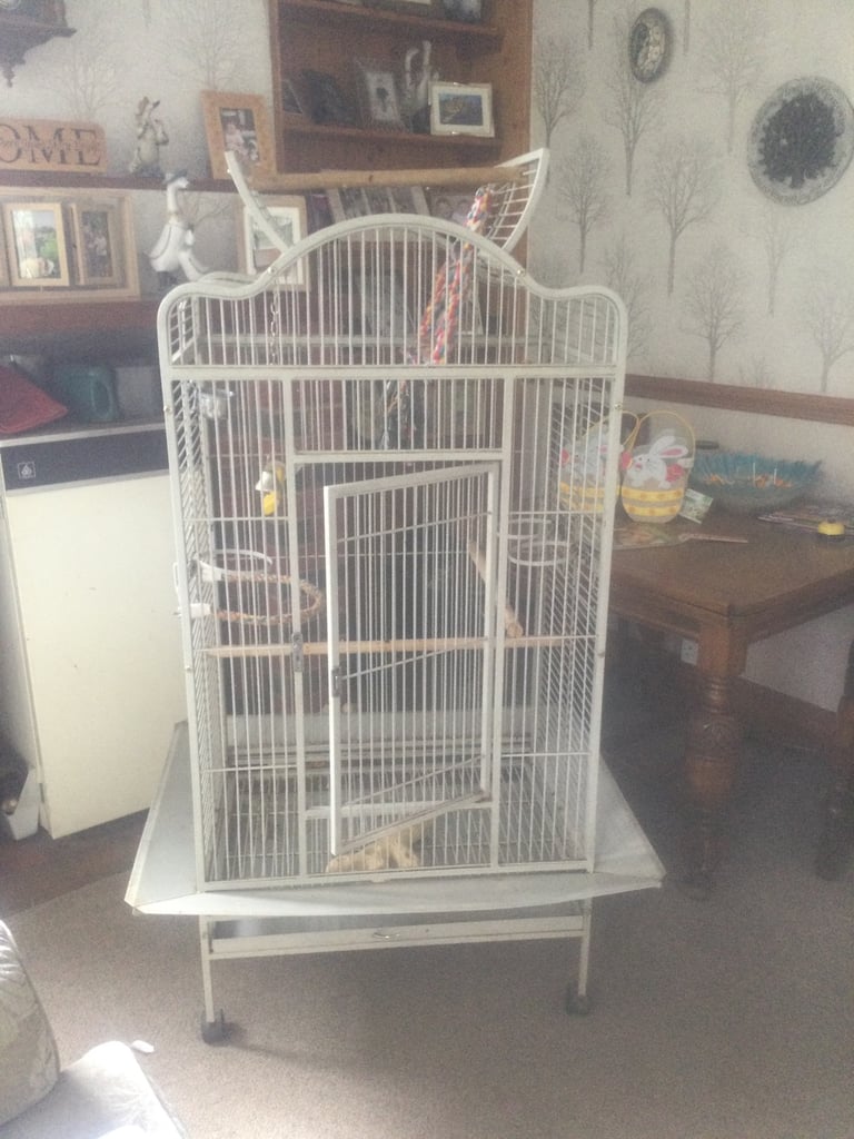 Large parrot cage