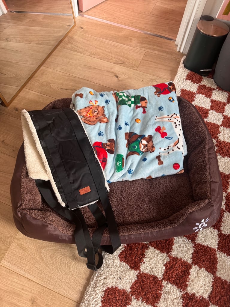 Free dog bed, blanket and carrier 