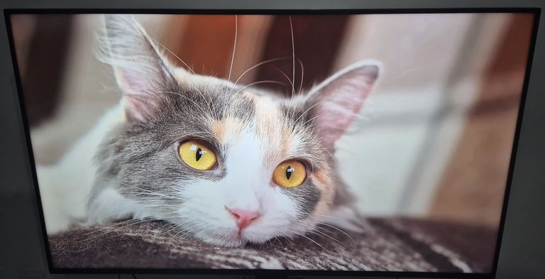 image for 65" Vestel UHM65UH82/4 4K UHD HDR10 LED Monitor/TV