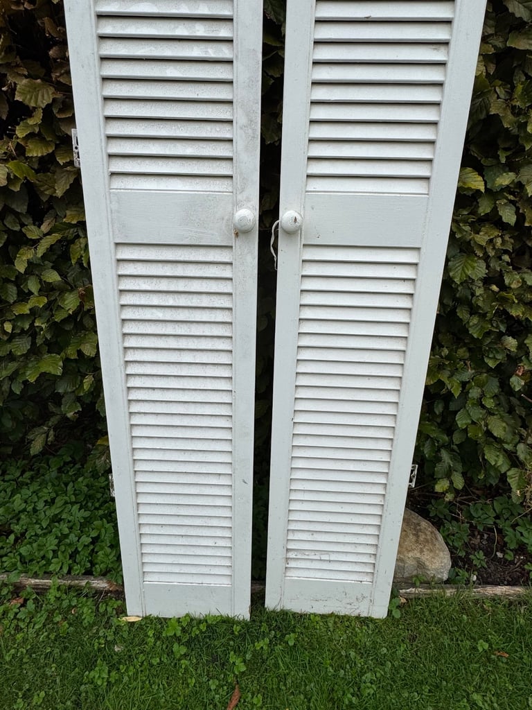 image for Louvre Doors, cupboard, doors