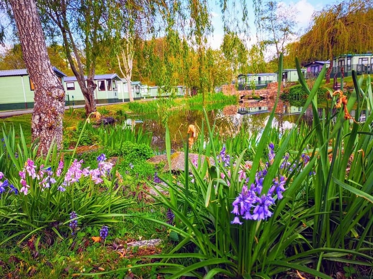 Willerby Martin in North Wales  - Lodge / Caravan 