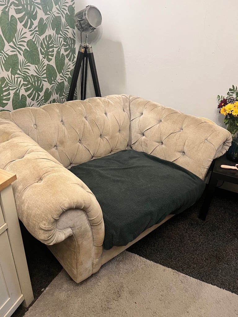 Next chesterfield snuggle chair