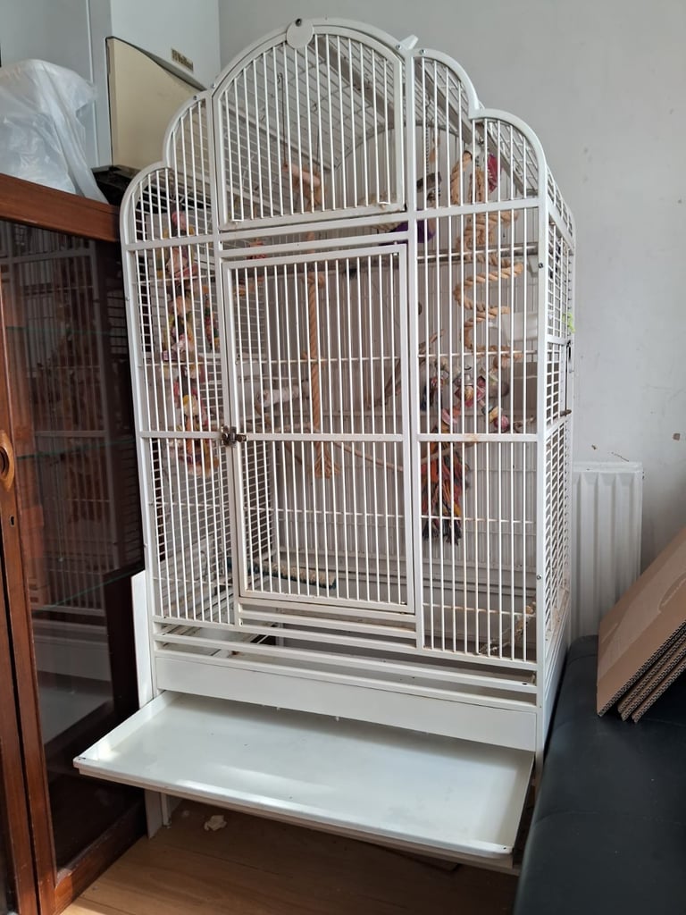 Extra large bird cage (5feet high and 2.5feet wide)