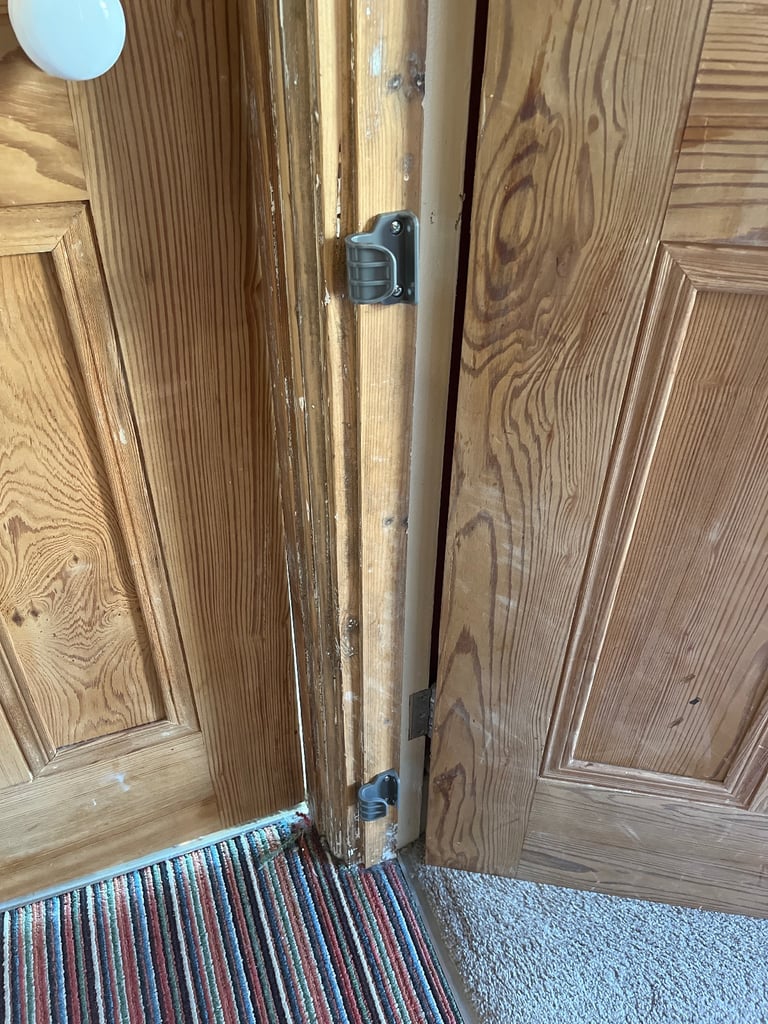 Retractable pet door gate