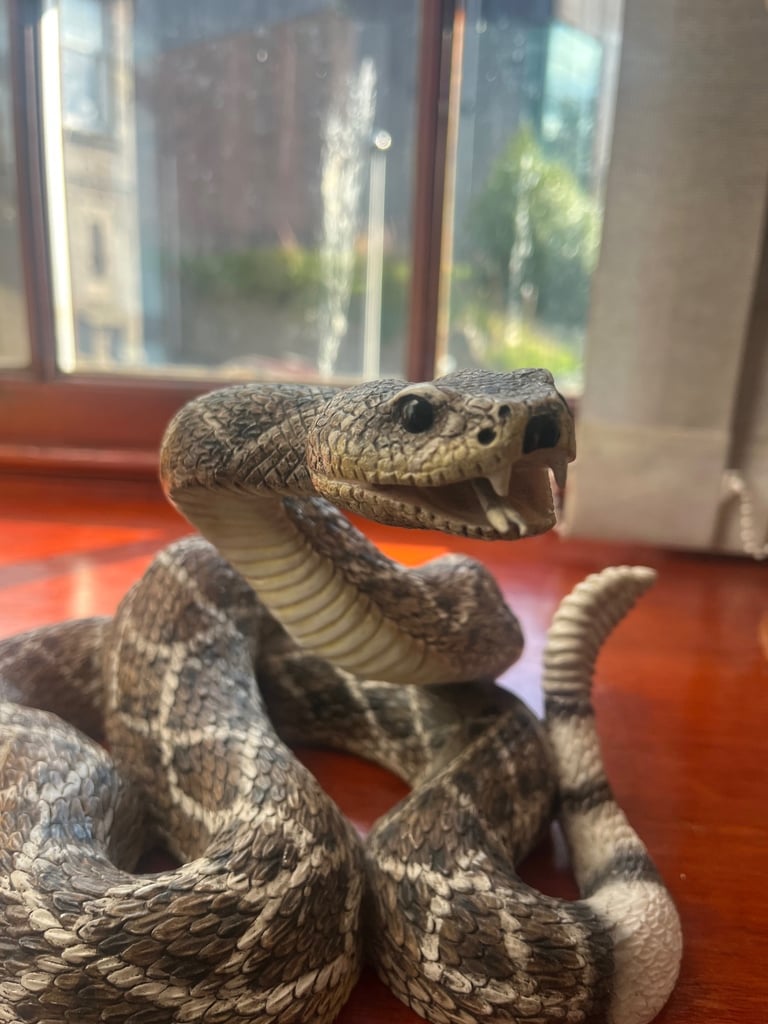 The leonardo collection rattlesnake 