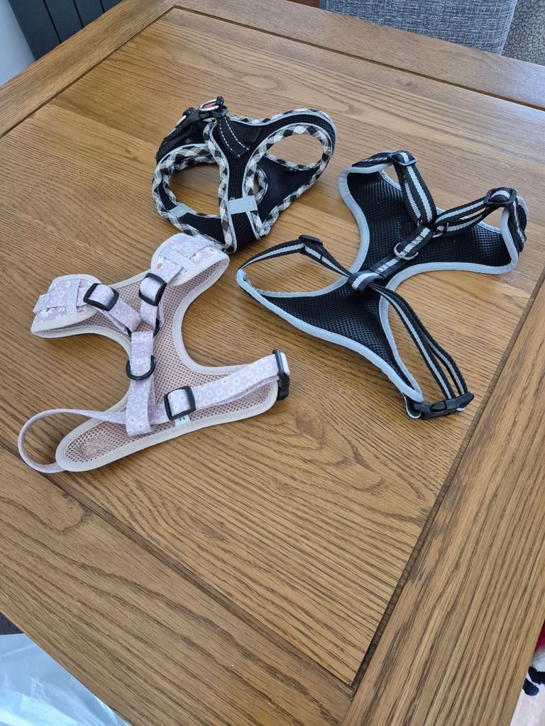 Dog harnesses 