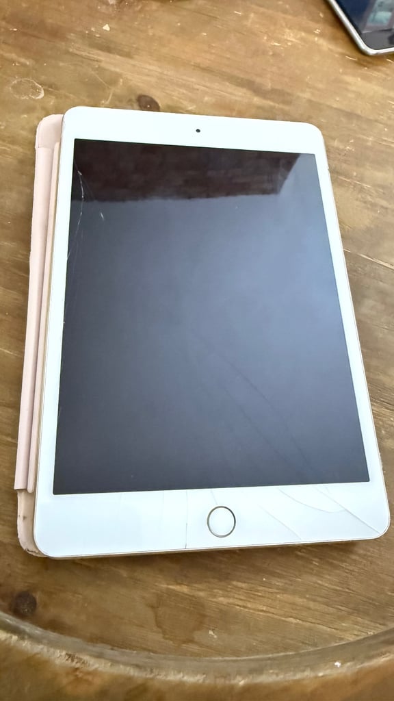 image for Apple iPad mini 4 