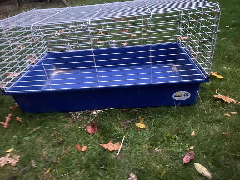 Guinea pig cage 