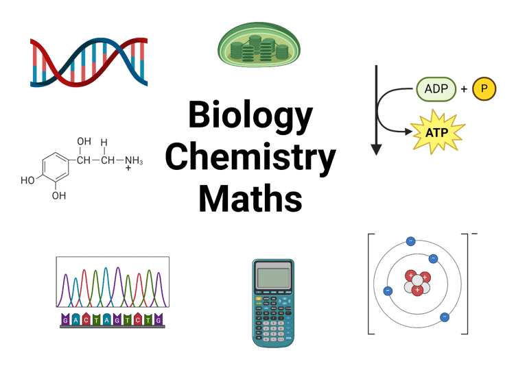 image for Biology, Chemistry and Maths Tutor