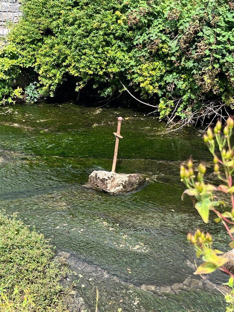 Daytime activity partner wanted 