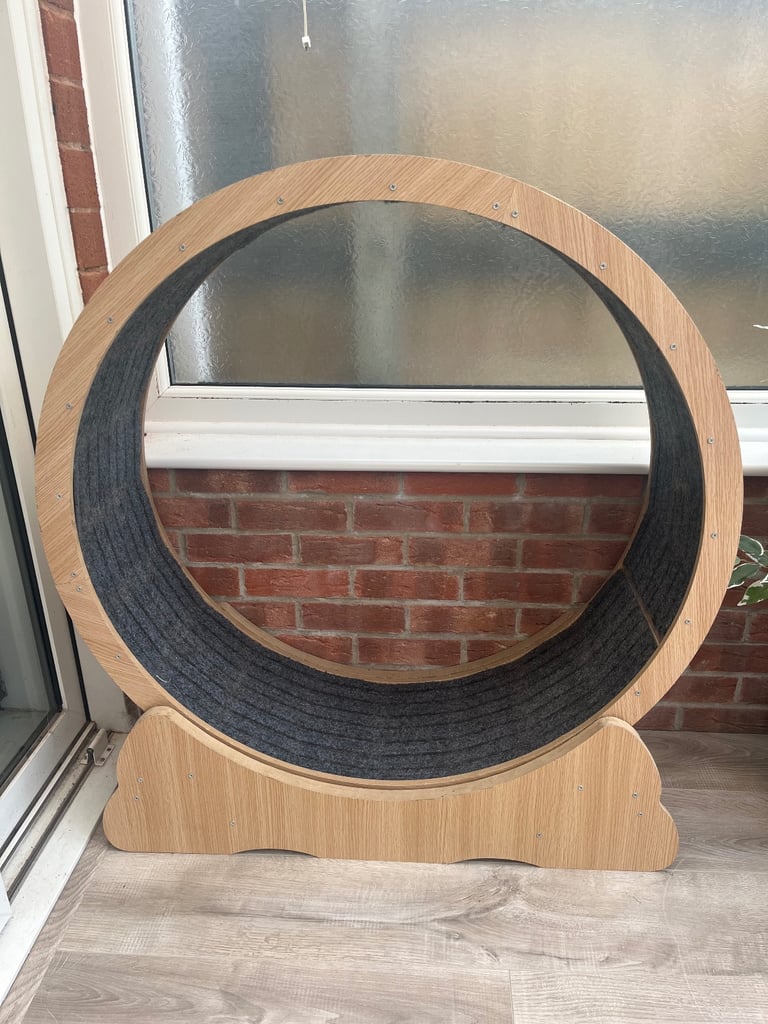 image for Large cat wheel