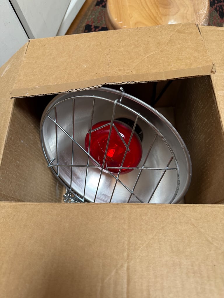 image for Heat lamp poultry