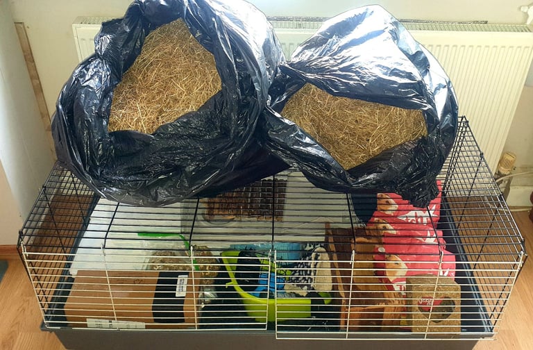 Full Set Up Cage for Guinea Pig 
