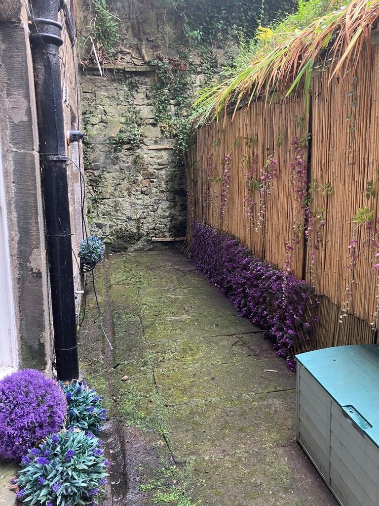 Flat for rent Edinburgh City Centre £1350 inc. gas and electric 