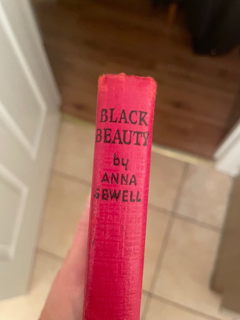 image for Black beauty 