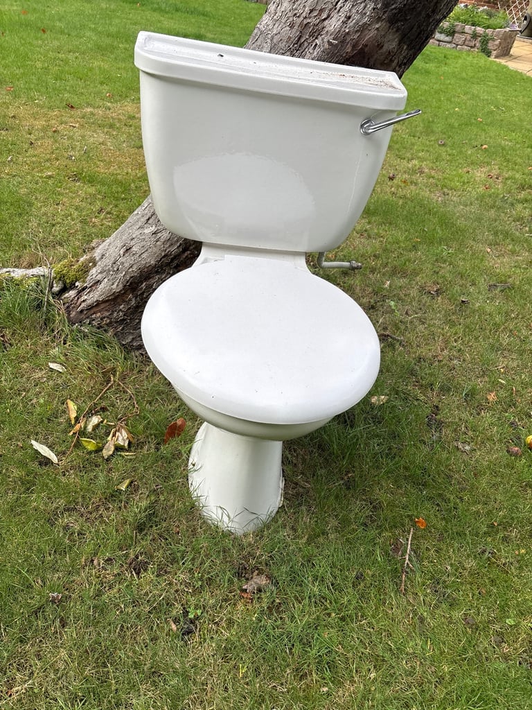 image for Toilet seat with cistern 