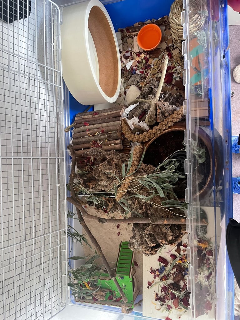 Pawhut hamster cage and lots of accessories for sale