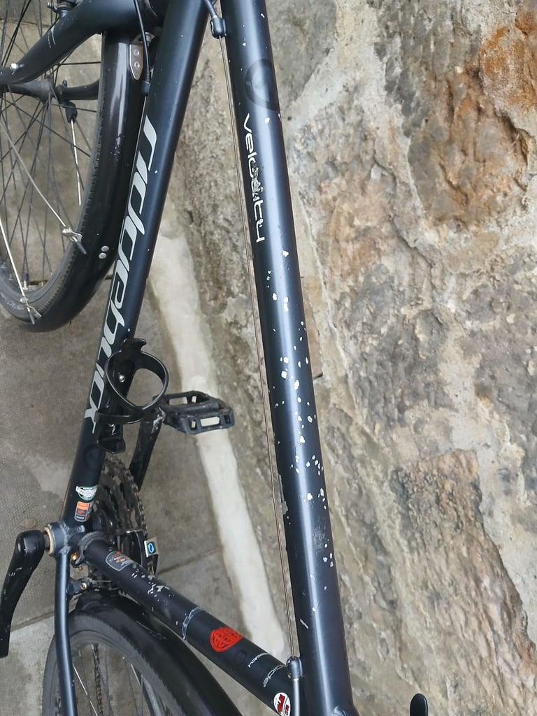 Ridgeback Velocity