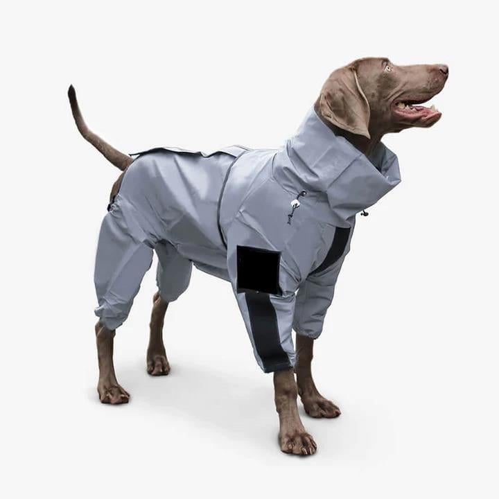 Waterproof all in one dog jackets 