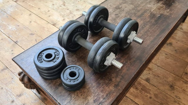 Cast Iron York 30kg Buy York Fitness Cast Chrome Dumbbell Spinlock