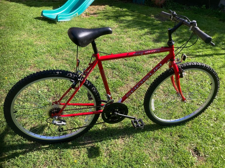 Mans mountain bike in exceptional condition 
