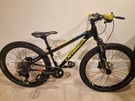 Orbea MX 24 Trail kids bike