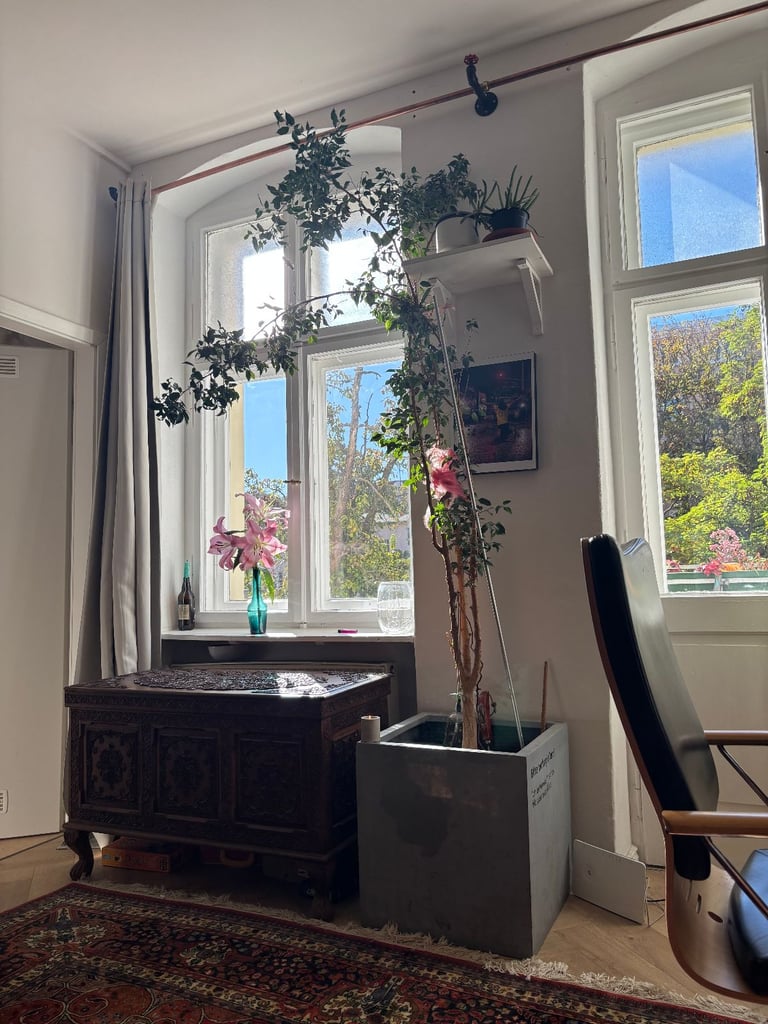 image for Flat Swap in Spring 26: Berlin - Edinburgh