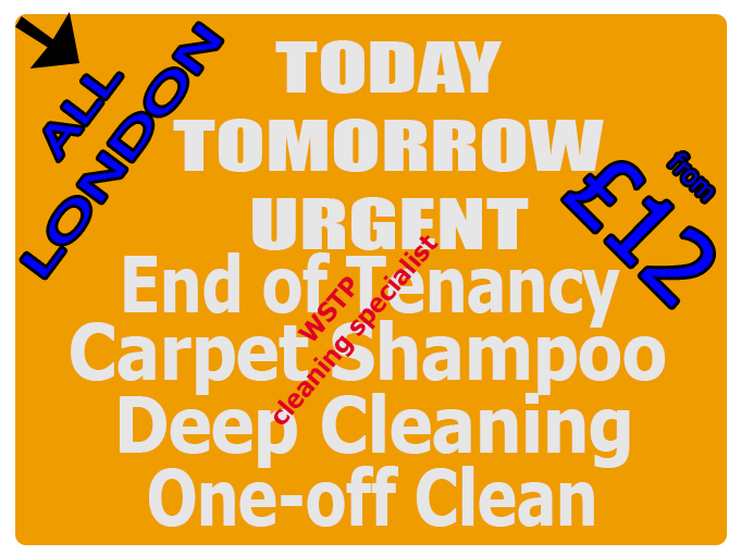 image for ⭐ Last Minute End of Tenancy & Carpet Cleaning Service London | Professional House Deep Cleaners E15