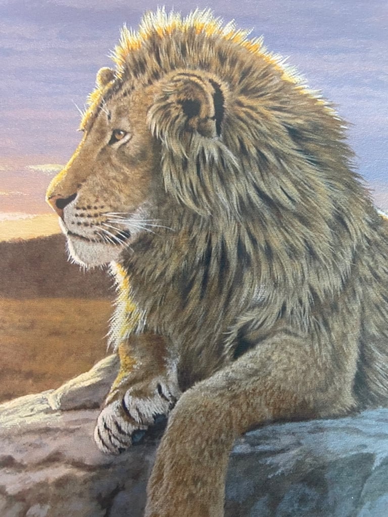 Stephen Gayford Lion King