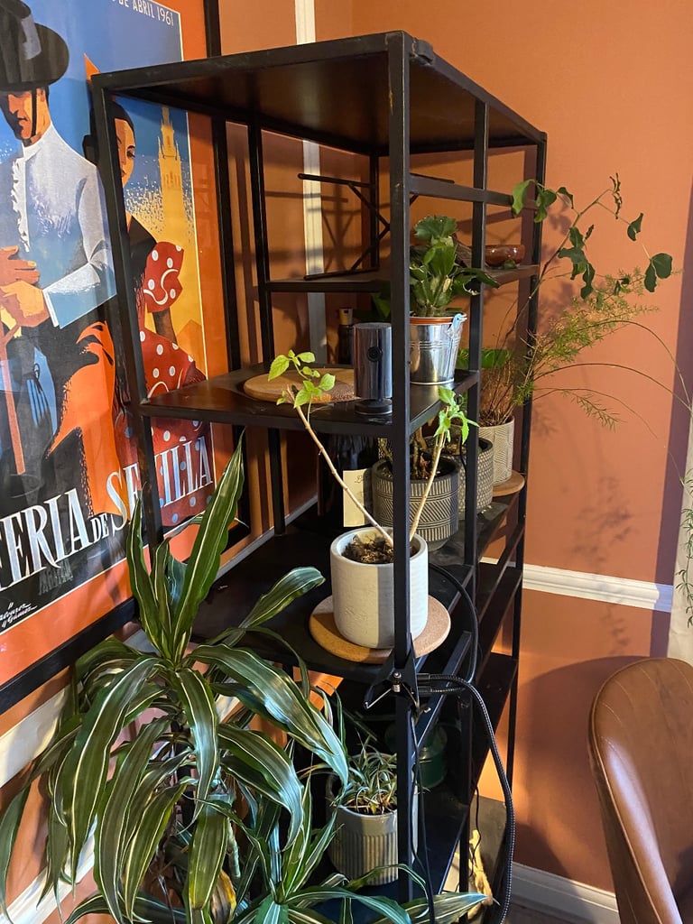 MADE multi level shelf