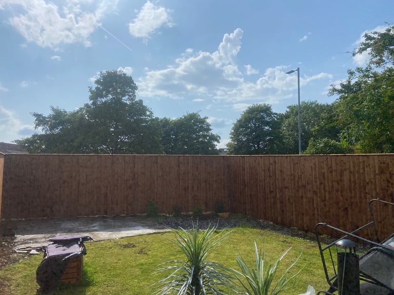 image for Fencing and gates 