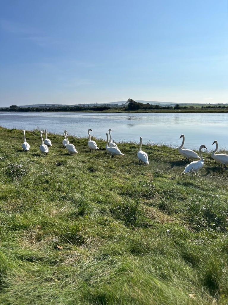 Static Caravan For Sale on 12month Park
