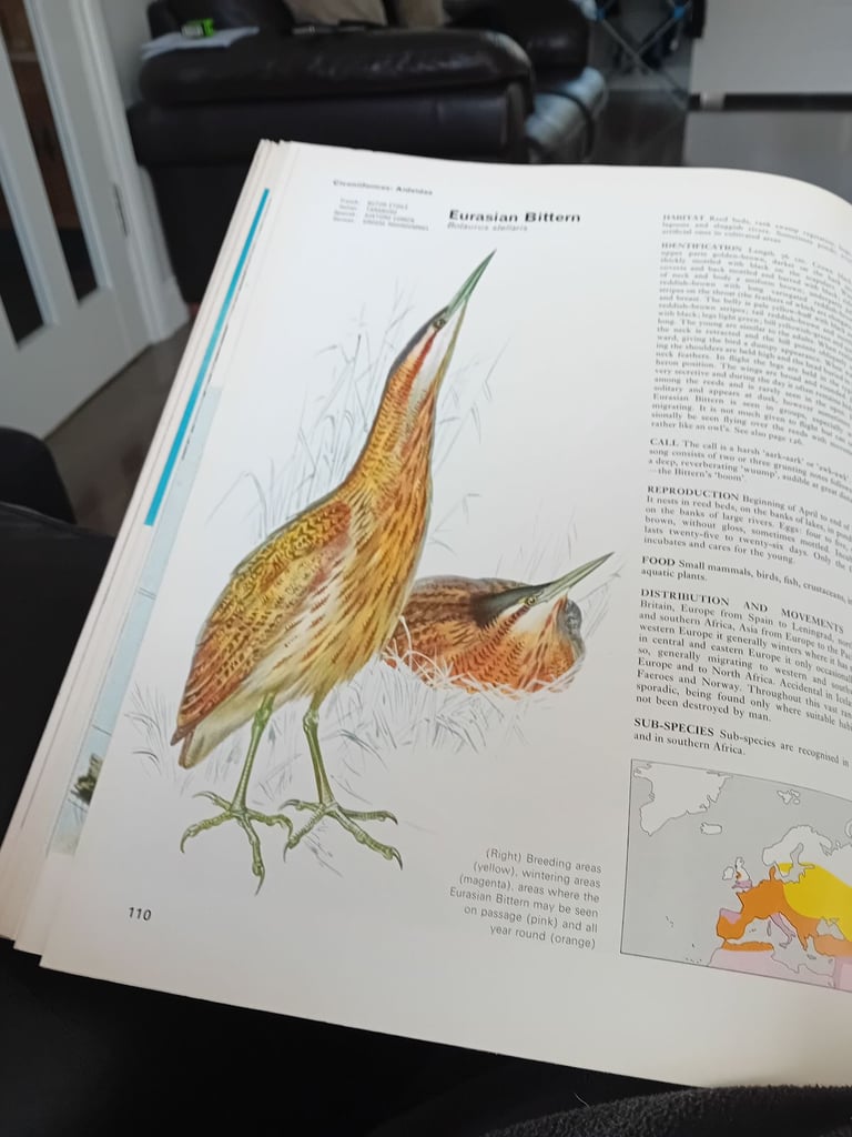 Set of five bird encyclopedia 
