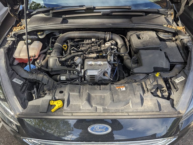 Ford, FOCUS, Hatchback, 2016, Manual, 999 (cc), 5 doors