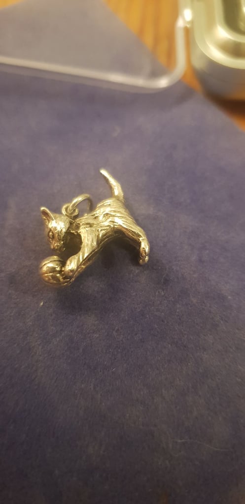 image for Silver charm cat 