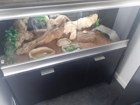 Large 4ft vivarium and stand with extras
