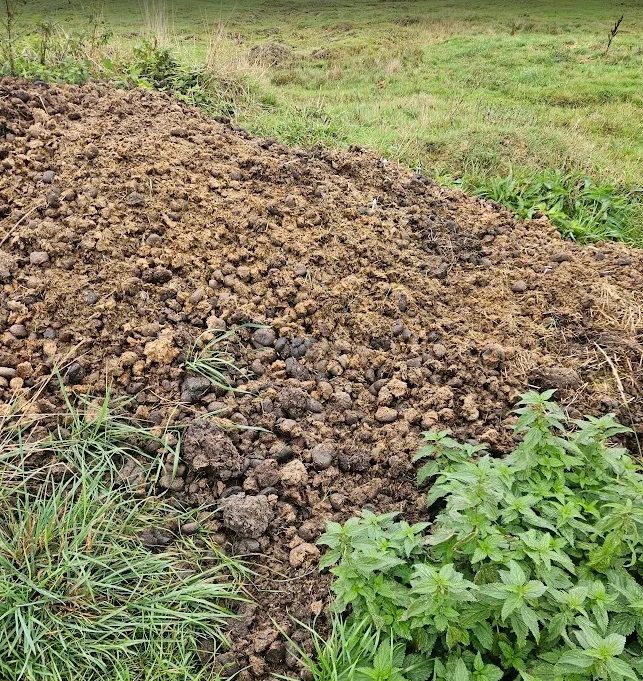 Horse organic aged manure for sale £5 per 50 liters bag