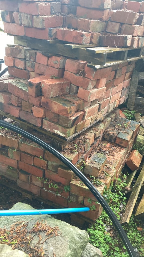 image for Reclaimed red bricks