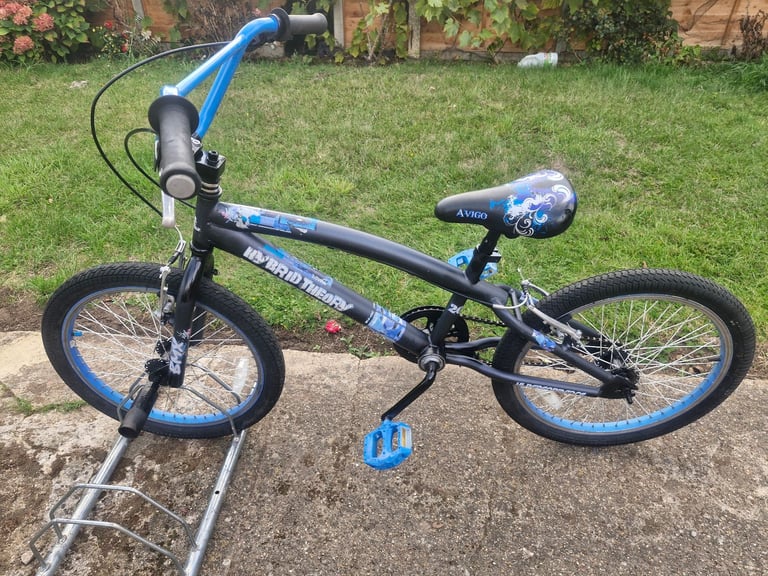 KIDS BOYS CHILDREN HYBRID THEORY 20 INCH WHEELS BMX BIKE BICYCLE