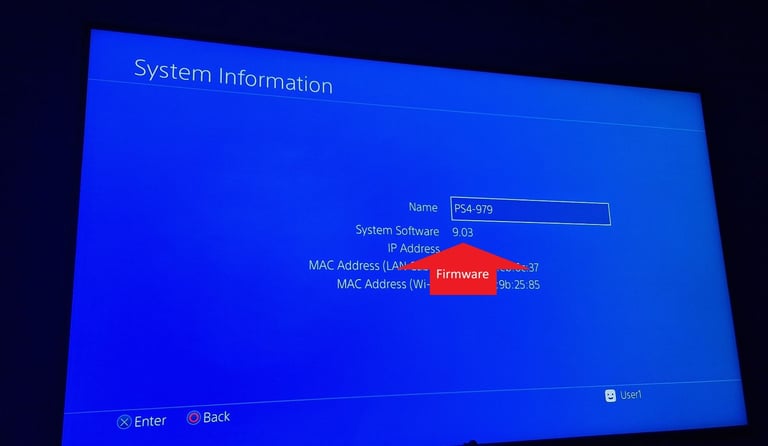 Sony Playstation 4 PS4 Game Console 500Gb FW9.03