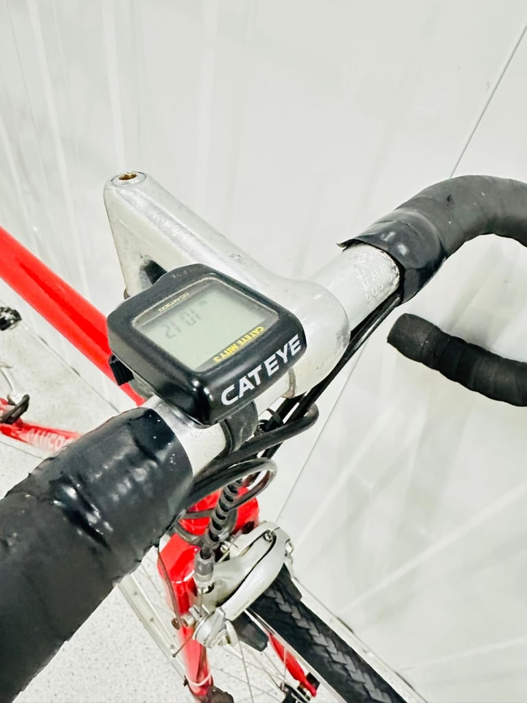 CAMEROON BESPOKE Road Bike Brand New 54 cm Reynolds Tubing 