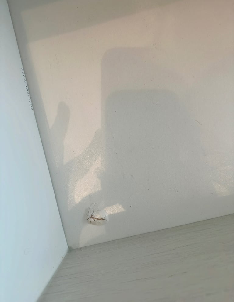 Bedroom Furniture Set