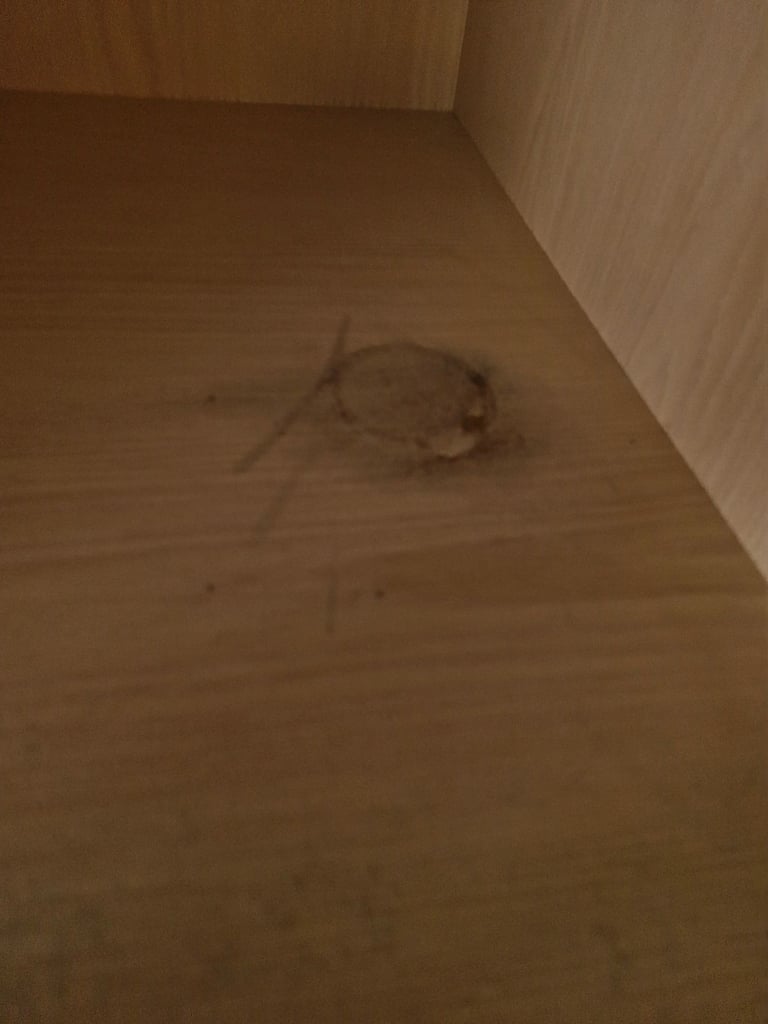 Wardobes. 2 big doubles and 1 single unit with shelves 