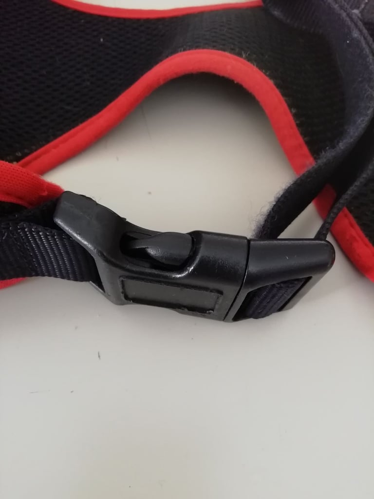 Dog harness and Collar 