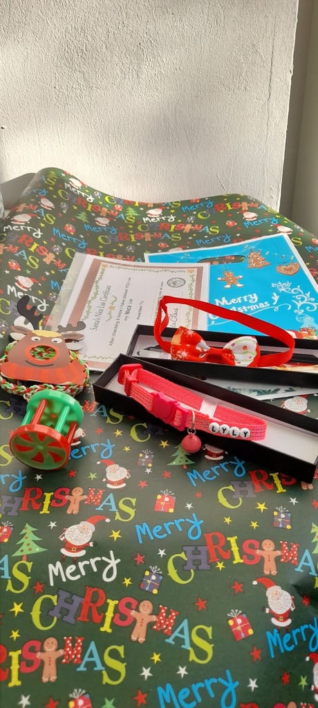 Gift set for cat lovers