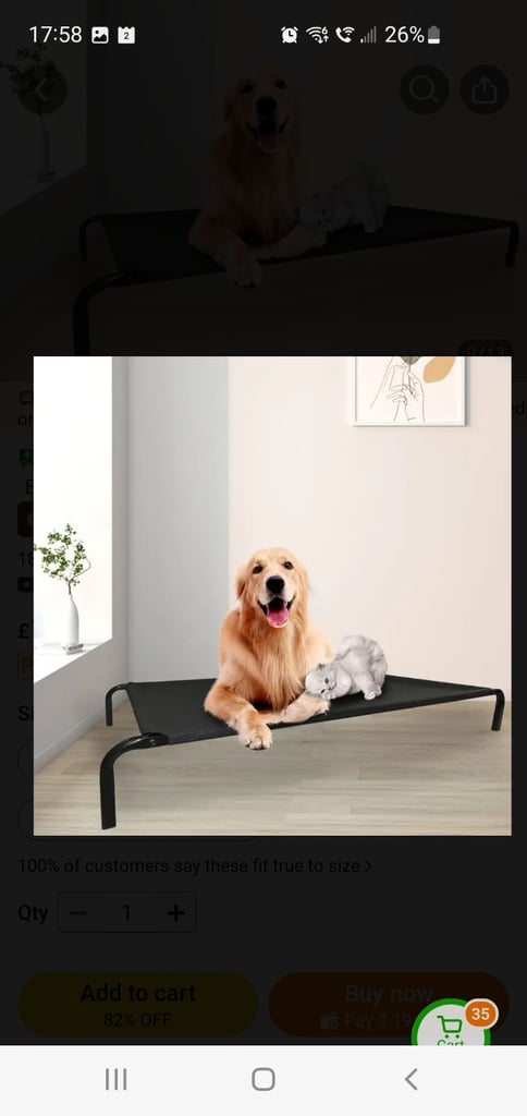 Elevated dog bed NEW