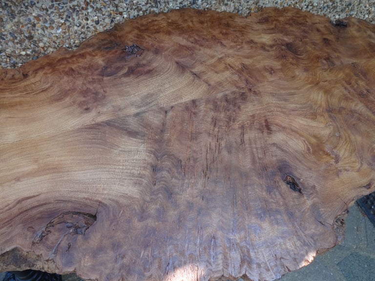 LIVE EDGE TABLE ~ SLAB OF BURR WALNUT ON A DOUBLE TRIPOD BASE ~ 