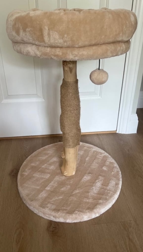 Cat Scratch Post