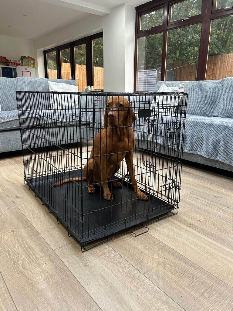 Extra large dog cage