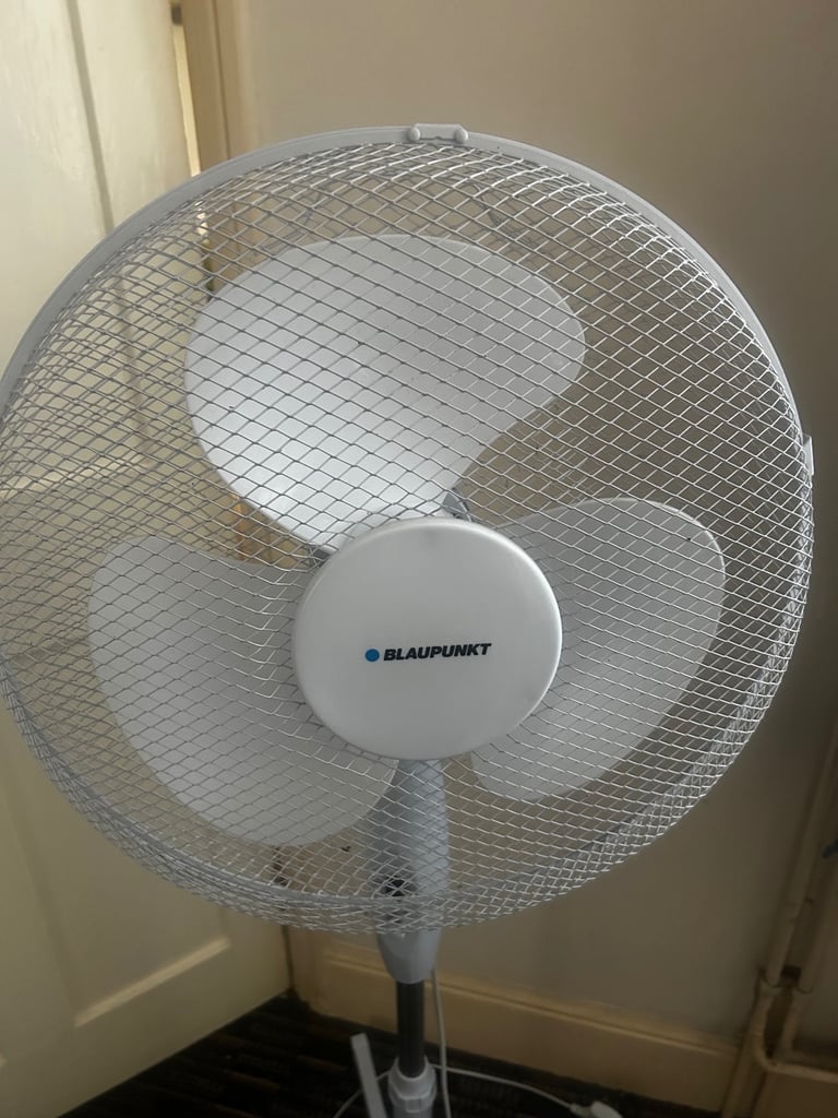 image for Blaupunkt fam